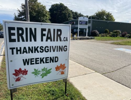 Fall Festivals 2024 Pumpkinfest